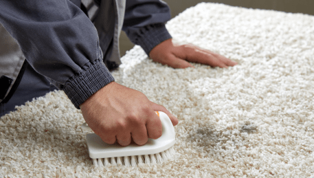 Professional Rug Cleaning Mount Waverley