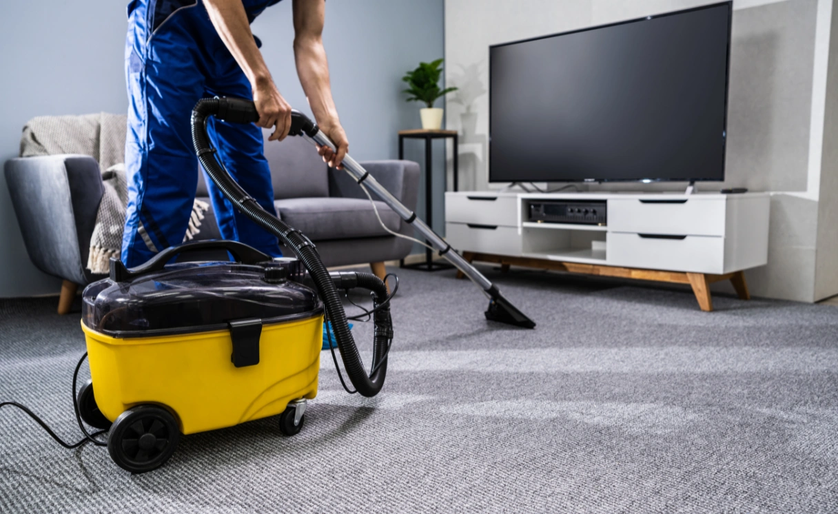 Extract Rug Cleaning Mount Waverley Contact Office